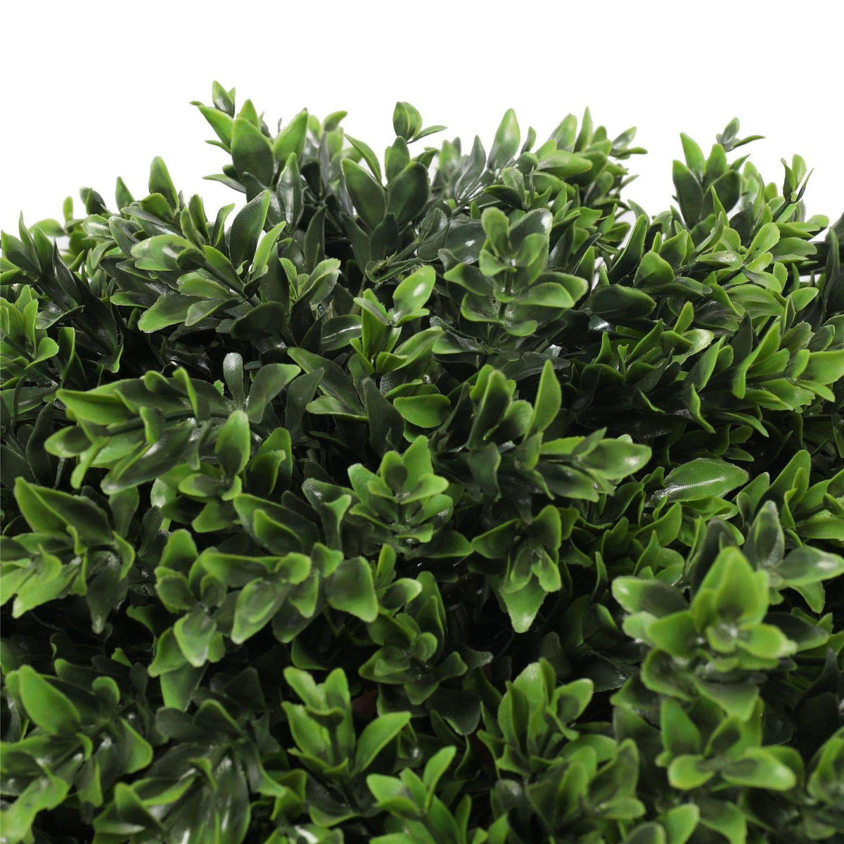 80cm UV Resistant Artificial Topiary Shrub | Compact Faux Hedyotis for