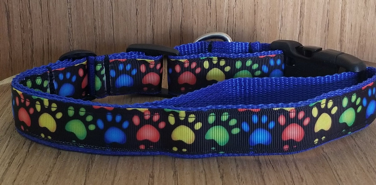Collar/ Large/ Medium/ Rainbow Paw Prints on Blue
