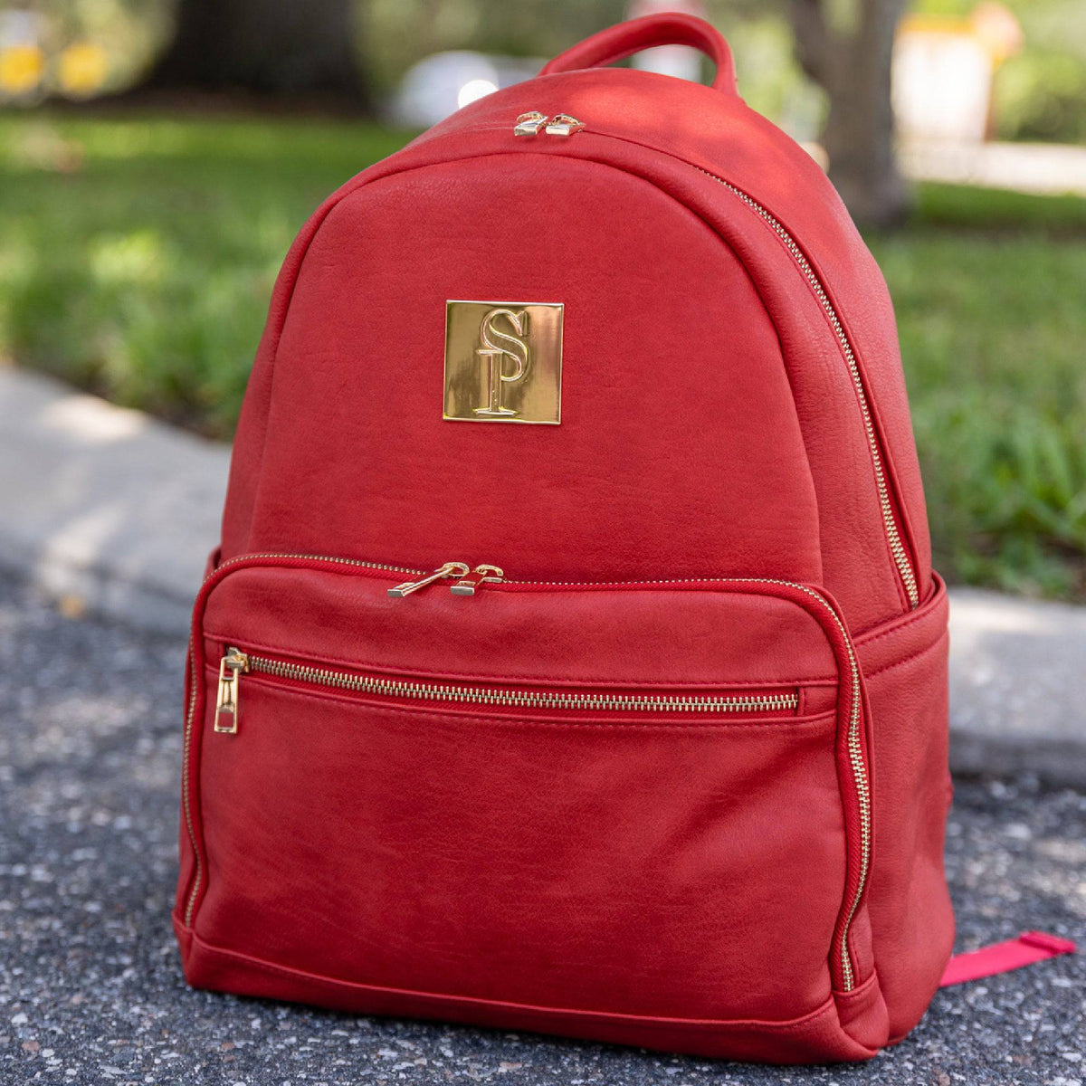 Red Leather Carrier Backpack