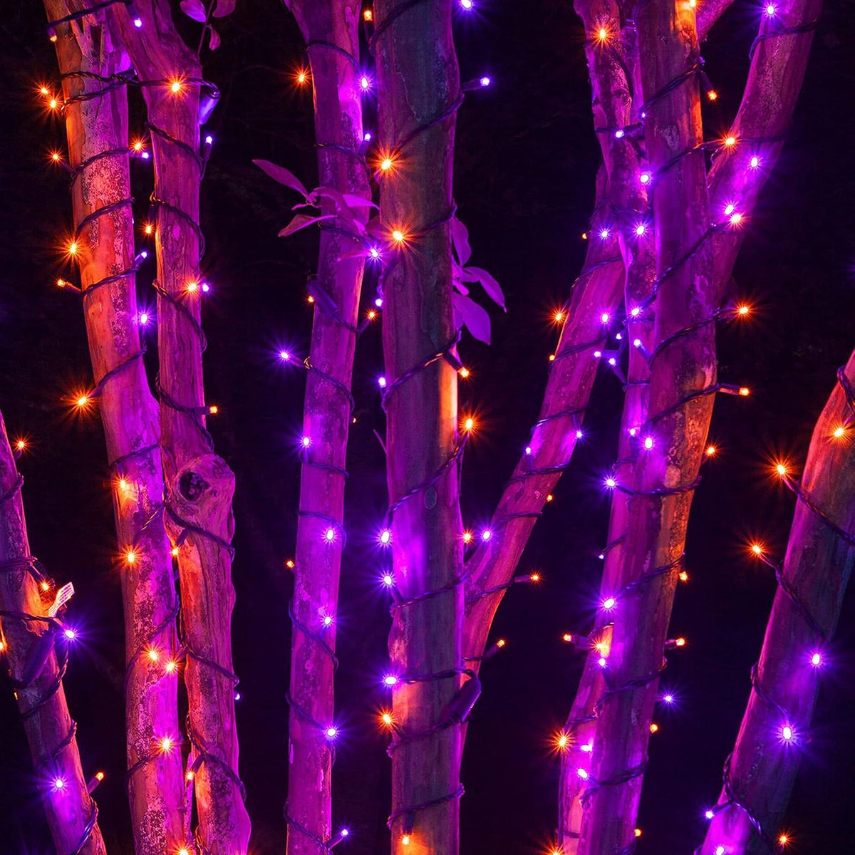 2-Pack 132FT Solar String Lights with 400 LEDs